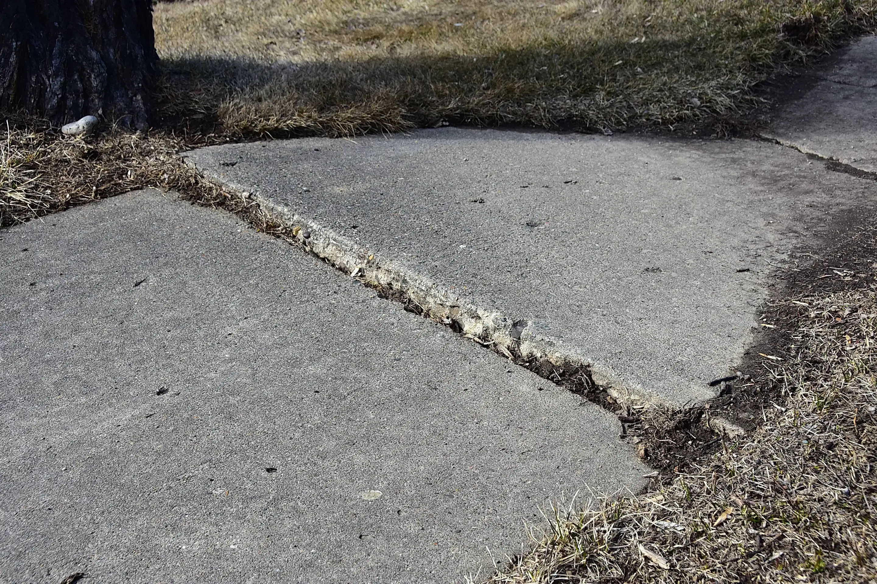 concrete leveling