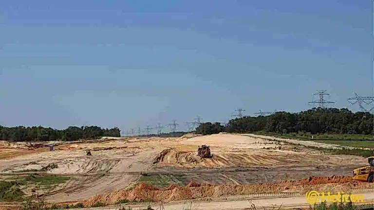 suncoast-2