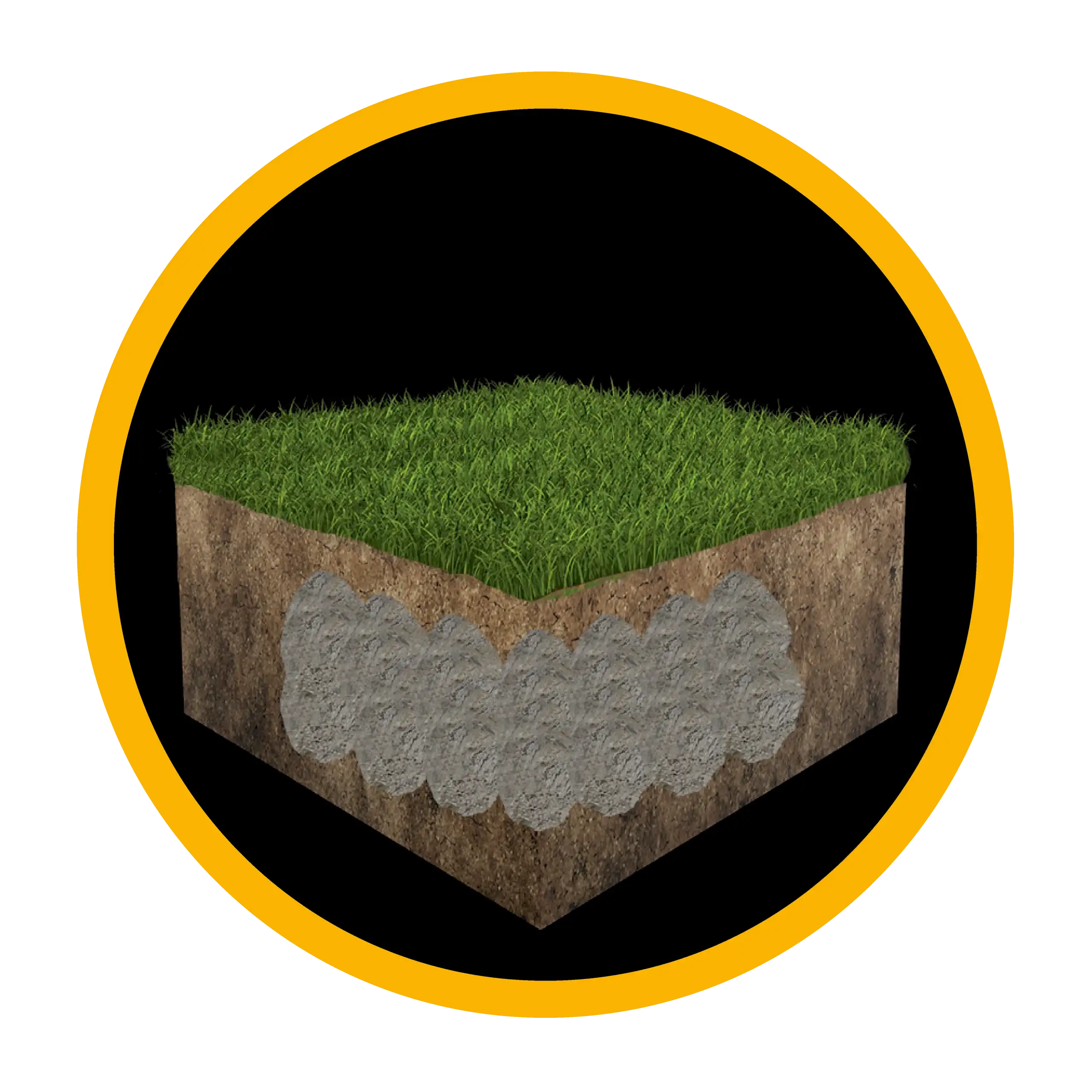compaction field logo 1 scaled