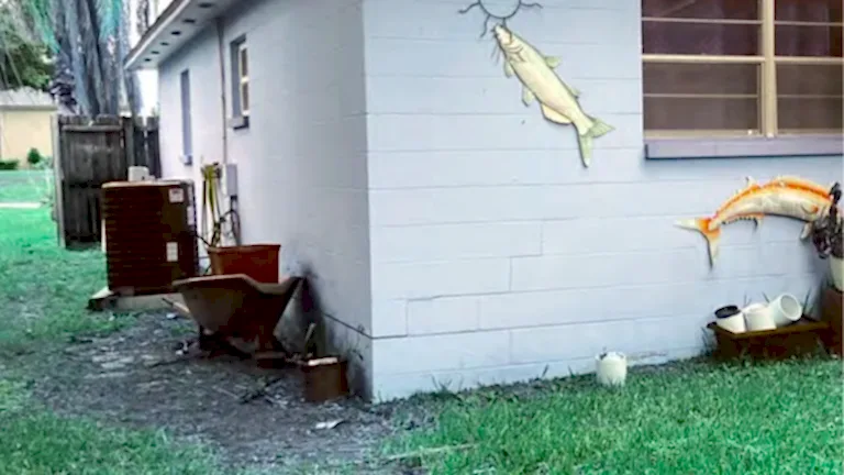 Brandon Foundation Repair_0000_Screenshot 2025-10-29 at 9.32.34 AM