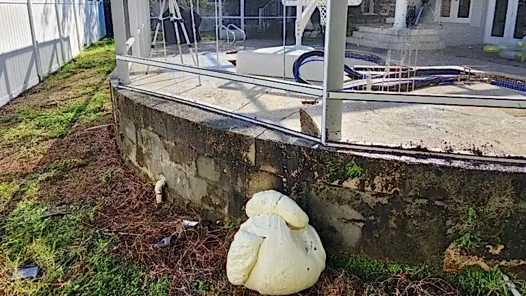 residential-foamoutsidedeck Exterior wall of a screened pool enclosure with hardened expanding foam applied inside the crack.