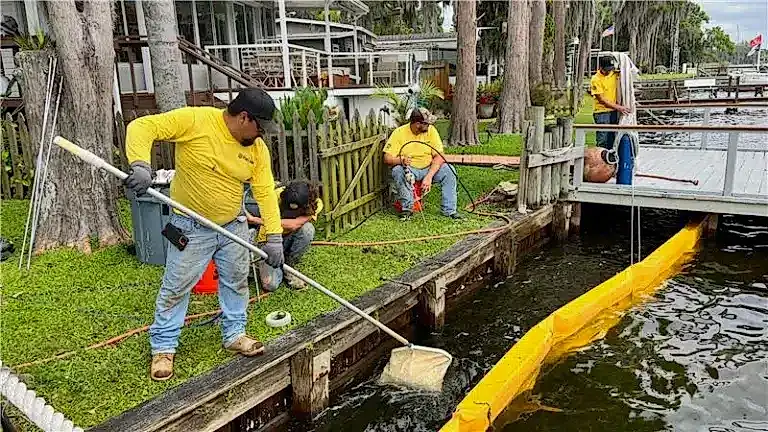 Helicon crew installing a containment boom and collecting material along a residential seawall.